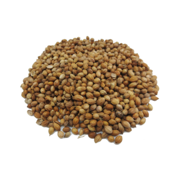 Dried - Coriander Seed Liang Pin (Min. 100g) Dried - Coriander Seed Liang Pin (Min. 100g)
