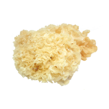 Dried - Fungus White Liang Pin (Min. 100g) Dried - Fungus White Liang Pin (Min. 100g)